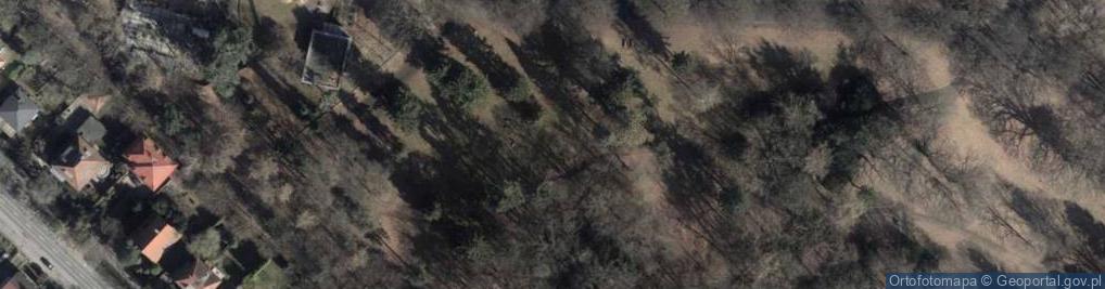 Zdjęcie satelitarne Park Kasprowicza