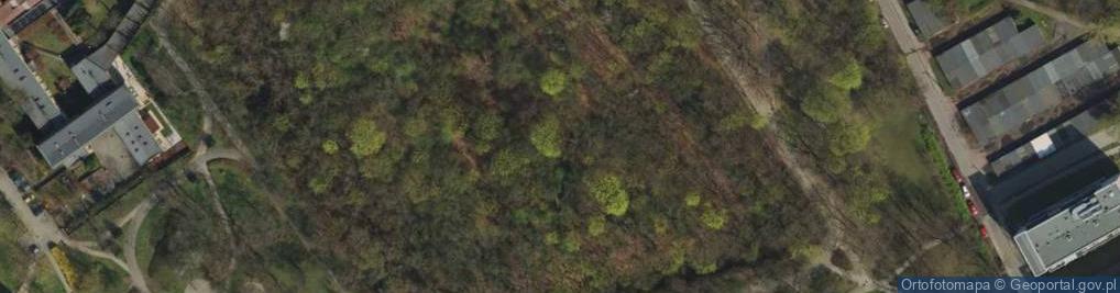 Zdjęcie satelitarne Park ks. Józefa Jasieńskiego
