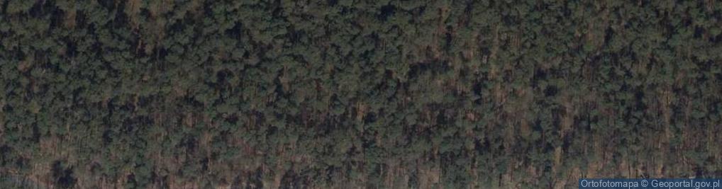 Zdjęcie satelitarne Park Kultury i Wypoczynku Piaski - Szczygliczka