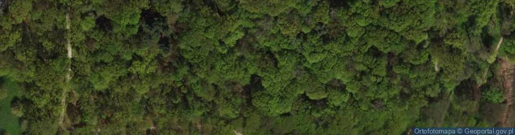 Zdjęcie satelitarne Park Leśnicki