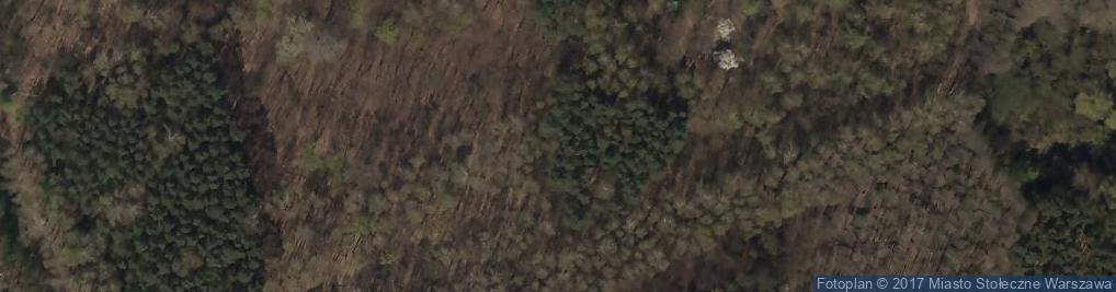 Zdjęcie satelitarne Park Leśny Bródno