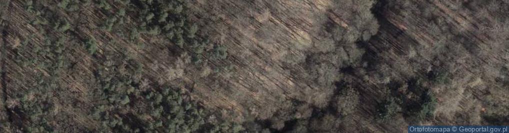 Zdjęcie satelitarne Park leśny Las Arkoński