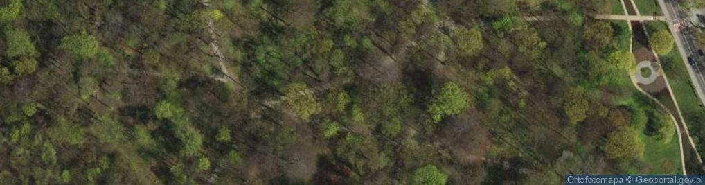 Zdjęcie satelitarne Park Ludowy