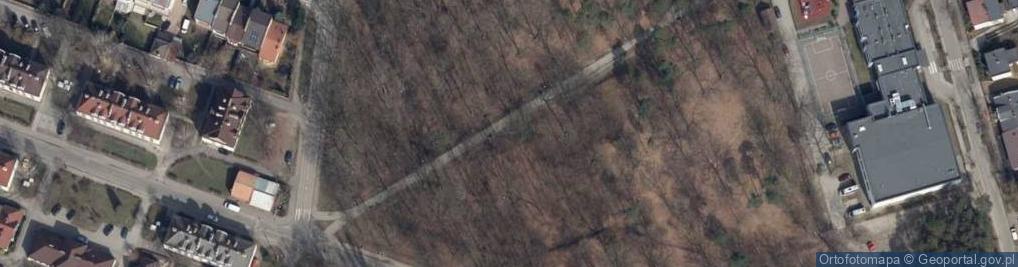 Zdjęcie satelitarne Park Michałówek