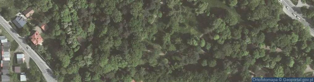 Zdjęcie satelitarne Park Mickiewicza