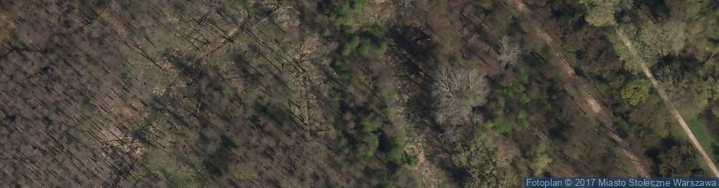 Zdjęcie satelitarne Park Młociński