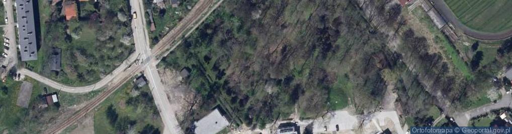 Zdjęcie satelitarne Park na terenie szpitala