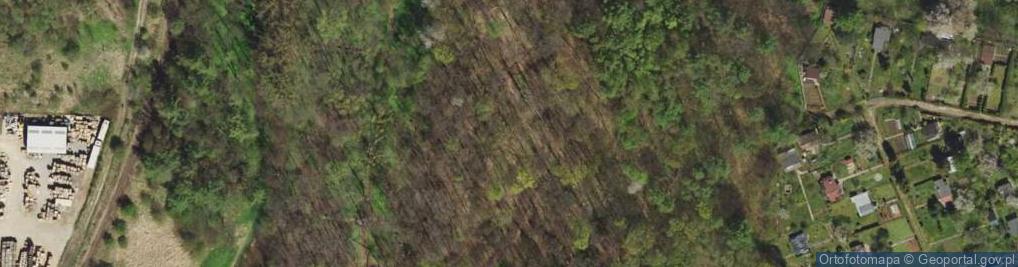 Zdjęcie satelitarne Park Piny
