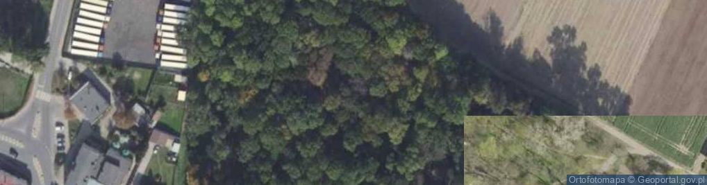 Zdjęcie satelitarne Park podworski Lipskich