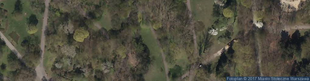 Zdjęcie satelitarne Park Praski I Armii Wojska Polskiego