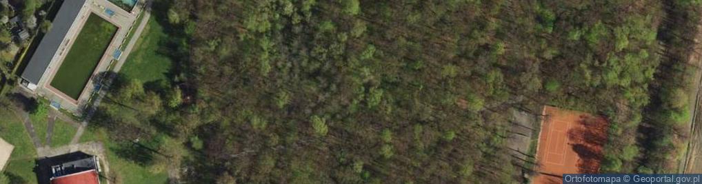 Zdjęcie satelitarne Park Pszczelnik