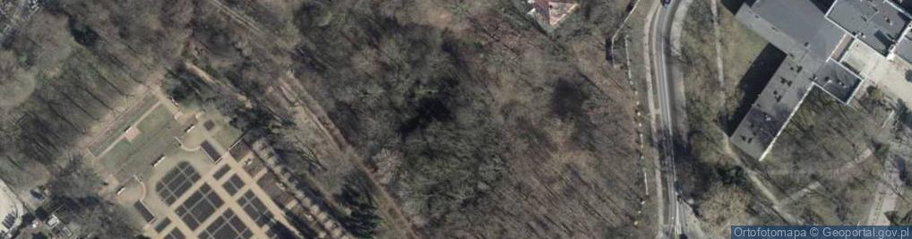 Zdjęcie satelitarne Park Różanka