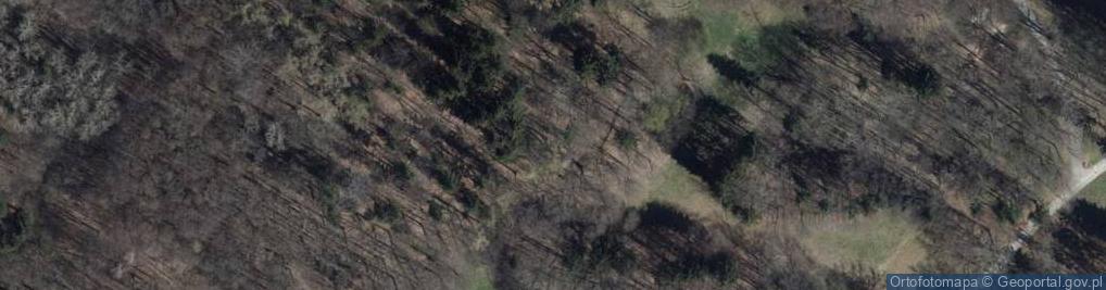 Zdjęcie satelitarne Park Rusinowa