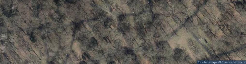 Zdjęcie satelitarne Park Stefana Żeromskiego