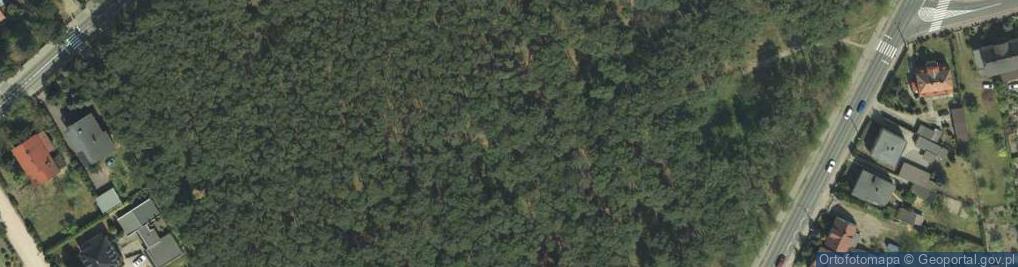 Zdjęcie satelitarne Park Strzelnica