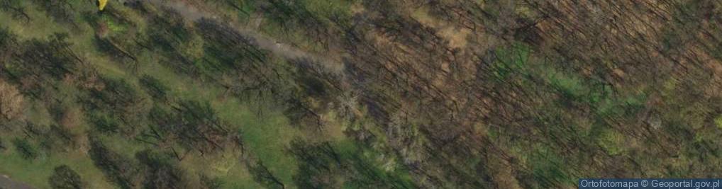Zdjęcie satelitarne Park Tysiąclecia