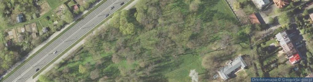 Zdjęcie satelitarne Park Węglin