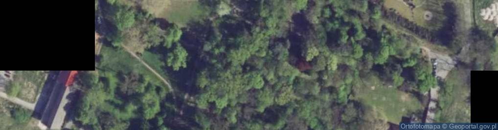 Zdjęcie satelitarne Park z licznymi pomnikami przyrody