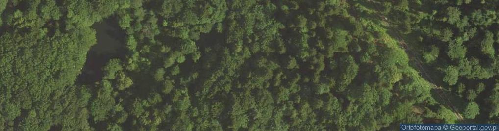Zdjęcie satelitarne Park Zdrojowy