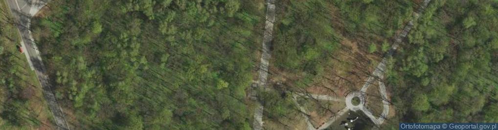 Zdjęcie satelitarne Park Zielona