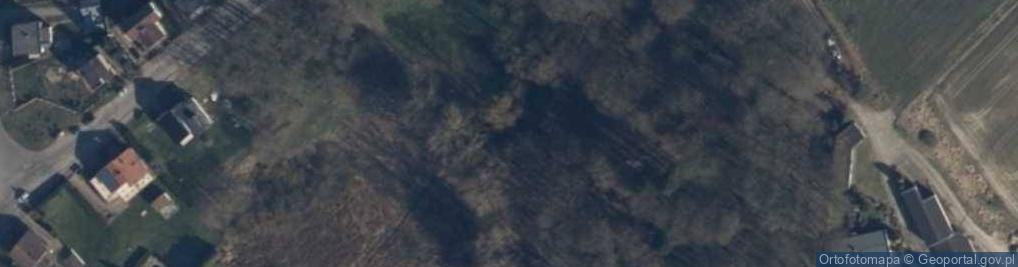 Zdjęcie satelitarne Park Żubra - Miejski