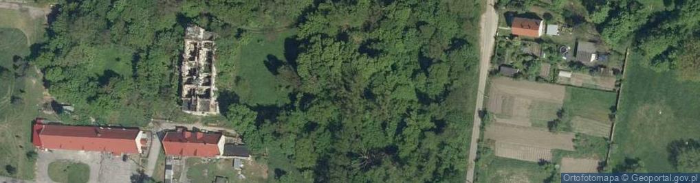 Zdjęcie satelitarne Przypałacowy