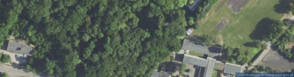 Zdjęcie satelitarne Przypałacowy