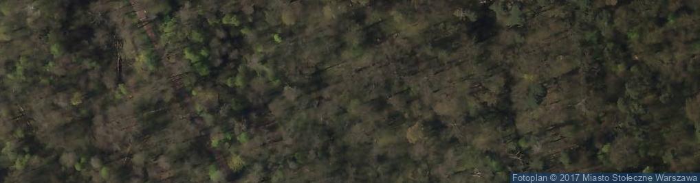 Zdjęcie satelitarne Rezerwat Park Natoliński
