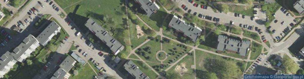 Zdjęcie satelitarne Skalniak ogrodowy