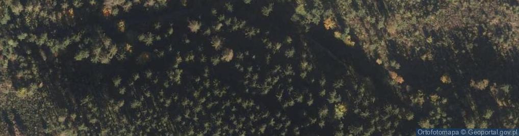 Zdjęcie satelitarne Wzgórze Parkowe