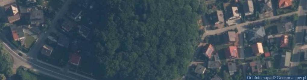 Zdjęcie satelitarne Wzgóze Wolności