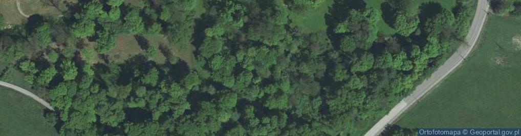 Zdjęcie satelitarne Zespół pałacowo-parkowy XVII-XIX w. park zabytkowy