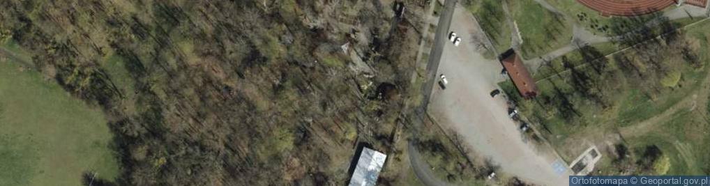 Zdjęcie satelitarne Dinopark Malbork i Park Linowy Malborkstones