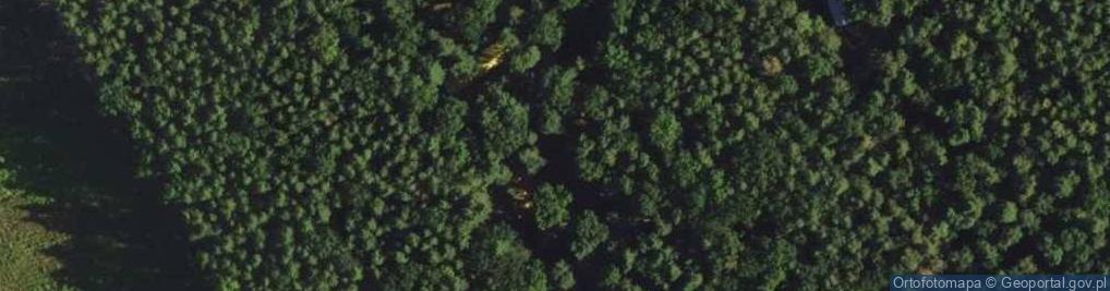 Zdjęcie satelitarne Dzielnica Filmowa