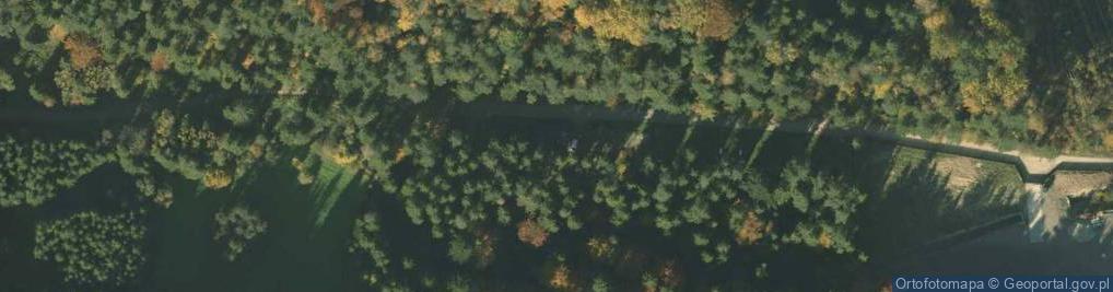 Zdjęcie satelitarne Krynicki Park Linowy