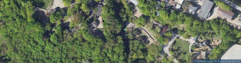 Zdjęcie satelitarne Park linowy Zoolandia