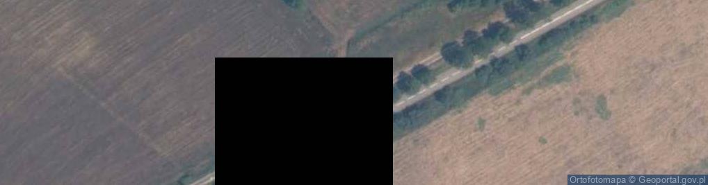 Zdjęcie satelitarne Starzyński Dwór