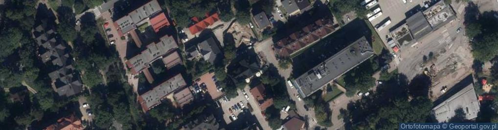 Zdjęcie satelitarne Brzoza
