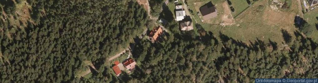 Zdjęcie satelitarne Modrzew