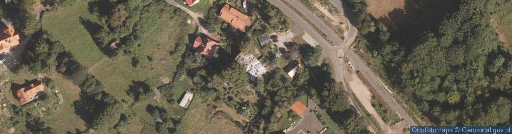 Zdjęcie satelitarne Szamanówka
