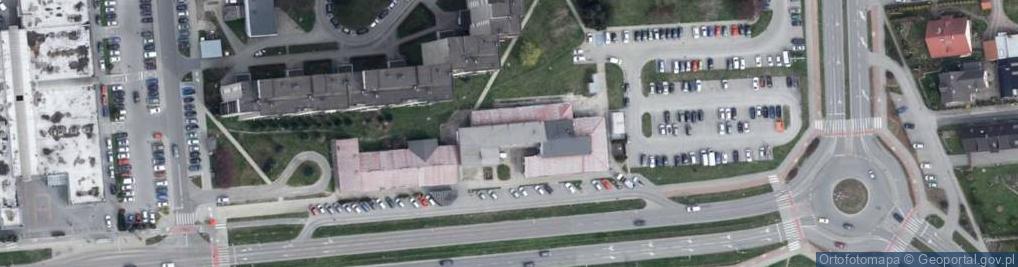 Zdjęcie satelitarne Alibaba