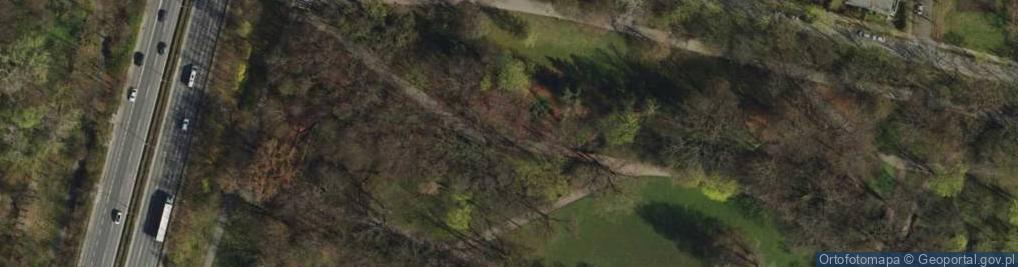 Zdjęcie satelitarne Plac Wolności