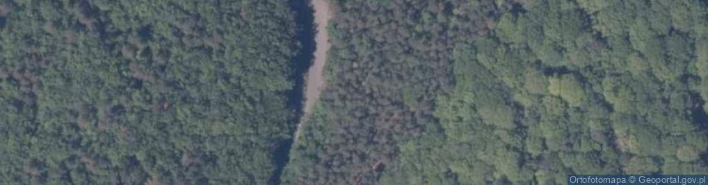Zdjęcie satelitarne Dla zwiedzających rezerwat żubrów - Płatny