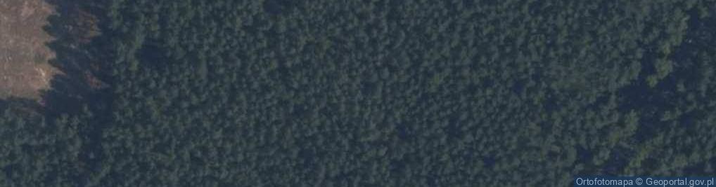 Zdjęcie satelitarne Domek na Wczasy