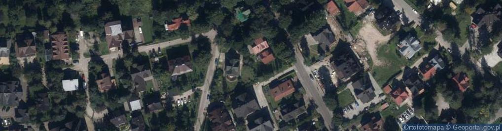 Zdjęcie satelitarne Krzak Leon