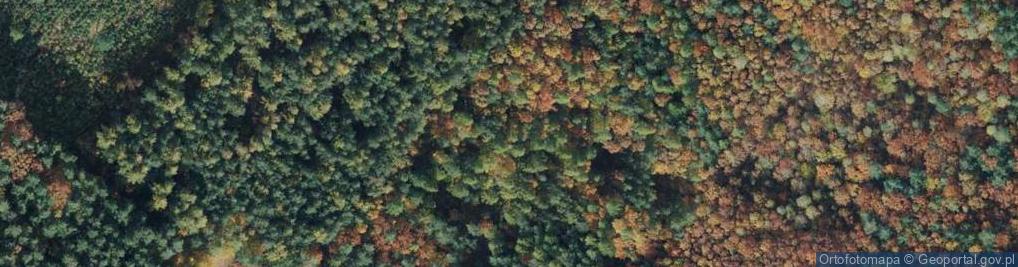 Zdjęcie satelitarne Leśniczówka Sokole Góry