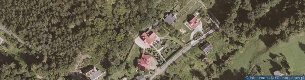 Zdjęcie satelitarne Leśny Dom