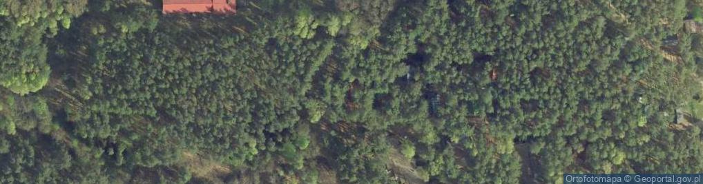 Zdjęcie satelitarne Leśny Zakątek