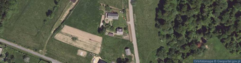 Zdjęcie satelitarne Osada Vikingów