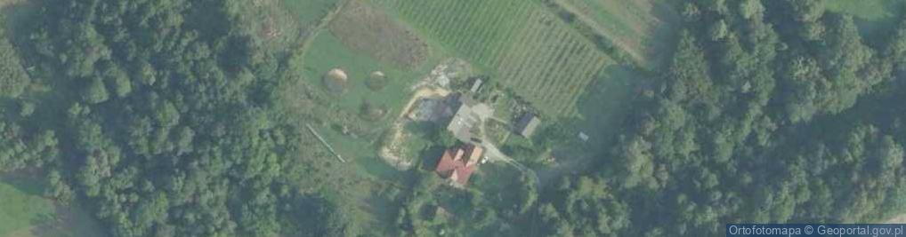 Zdjęcie satelitarne Pasieka Na Brzegu